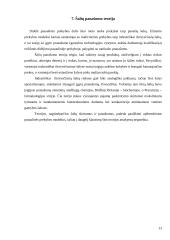 Tarptautinės prekybos teorijų analizė 13 puslapis