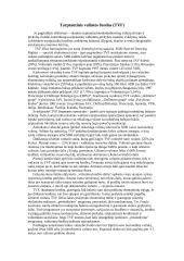 Tarptautinis valiutos fondas ir jo vaidmuo pasaulinėje ekonomikoje 2 puslapis