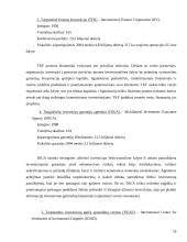 Tarptautinis valiutų fondas ir pasaulio bankas 14 puslapis