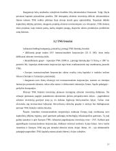 Tarptautinis valiutų fondas ir pasaulio bankas 17 puslapis