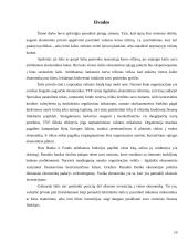 Tarptautinis valiutų fondas ir pasaulio bankas 19 puslapis