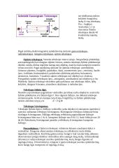 Teleskopo veikimas 2 puslapis