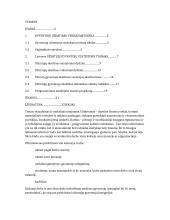 Šalies gyventojų užimtumas