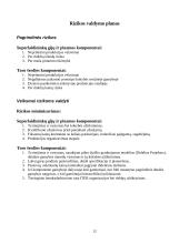 Termobranduolinis energijos gamybos reaktorius 12 puslapis