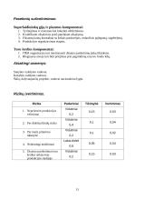 Termobranduolinis energijos gamybos reaktorius 13 puslapis