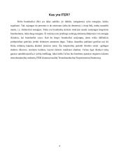 Termobranduolinis energijos gamybos reaktorius 4 puslapis