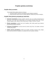 Termobranduolinis energijos gamybos reaktorius 8 puslapis