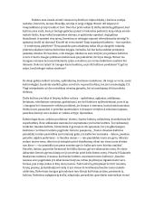 Žmogus - tai kultūros kūrėjas ir kultūros produktas