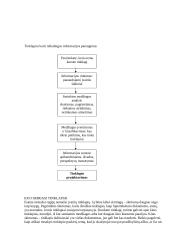 Tinklapio rengimas 2 puslapis