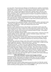 Tinklapio rengimas 3 puslapis