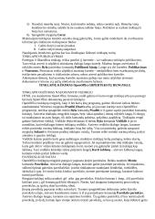 Tinklapio rengimas 6 puslapis