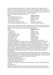 Tinklapio rengimas 8 puslapis