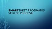 Smartsheet pragramos veiklos procesai 1 puslapis