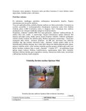 Trinkelių klojimo ir apdirbimo mašinos bei mechanizmai 5 puslapis