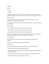 Darbas apie futbolą