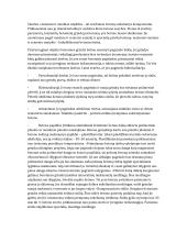 Betonavimo paruoštukė