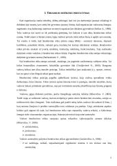 Vadovo bendravimo etika 5 puslapis