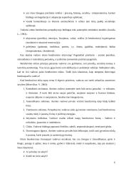 Vadovo bendravimo etika 6 puslapis