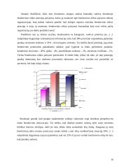 Vadovo bendravimo etika 10 puslapis