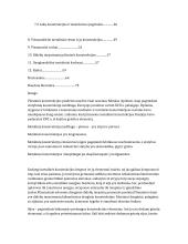 Metalinės sijos, santvaros, arkos ir rėmai