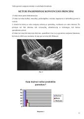 Vaiko gerovė mokslinėje bei teisinėje literatūroje 11 puslapis