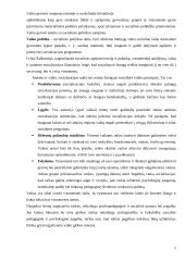 Vaiko gerovė mokslinėje bei teisinėje literatūroje 5 puslapis