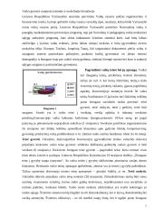 Vaiko gerovė mokslinėje bei teisinėje literatūroje 7 puslapis