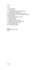 Vaikų fizinis smurtas šeimoje 2 puslapis