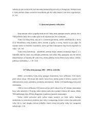 Vaikų fizinis smurtas šeimoje 13 puslapis