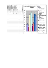 Vaikų fizinis smurtas šeimoje 19 puslapis