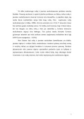 Vaikų ir jaunimo nusikalstamumas 2 puslapis