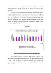 Vaikų ir jaunimo nusikalstamumas 4 puslapis