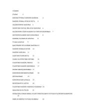 Vandens telkinio įrengimas