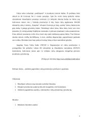 Vaikų prostitucija: priežastys ir pasekmės 4 puslapis