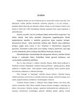 Valstybės biudžetas 2 puslapis