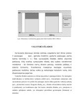 Valstybės biudžetas 11 puslapis