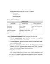 Valstybės biudžetas 13 puslapis