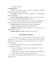 Valstybės biudžetas 16 puslapis