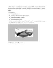 Valstybės biudžetas 17 puslapis