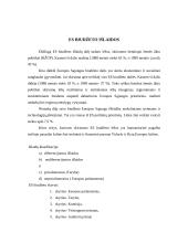 Valstybės biudžetas 19 puslapis