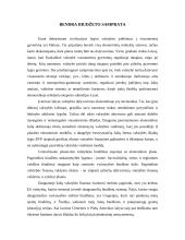 Valstybės biudžetas 4 puslapis