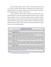 Valstybės biudžetas 5 puslapis