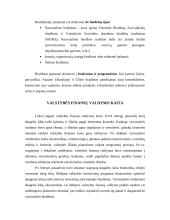 Valstybės biudžetas 6 puslapis