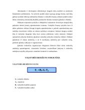 Valstybės biudžetas 7 puslapis