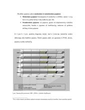 Valstybės biudžetas 9 puslapis