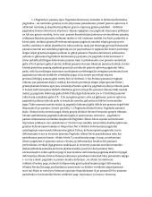 Statybos pagrindų teorija