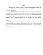 Valstybės ekonominė veikla rinkos ekonomikoje 13 puslapis