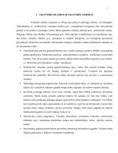 Valstybės ekonominė veikla rinkos ekonomikoje 3 puslapis