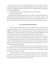 Valstybės ekonominė veikla rinkos ekonomikoje 10 puslapis