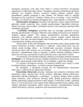 Valstybės mokesčių sistemos formavimo ypatumai 2 puslapis